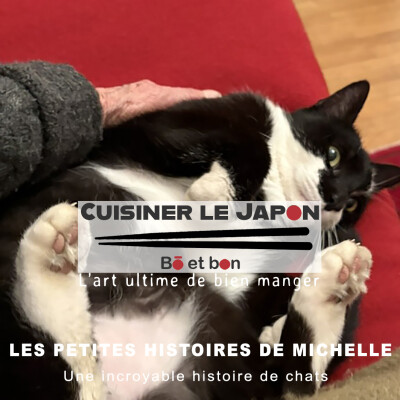 LES PETITES HISTOIRES DE MICHELLE - Une incroyable histoire de chats cover