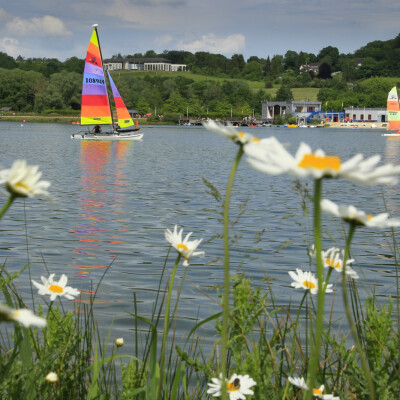 Hauts-de-France : Du Canada aux Terres Gauloises ! cover