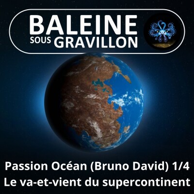 S08E18 Passion Océan 1/4 : Les retrouvailles des continents... tous les 500 millions d'années (Bruno David) cover