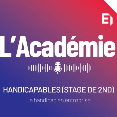 Stagiaires de seconde 2026 - le handicap en entreprise - les handicapables cover