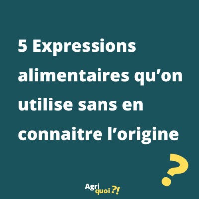 5 expressions alimentaires qu'on utilise... sans en connaitre l'origine cover