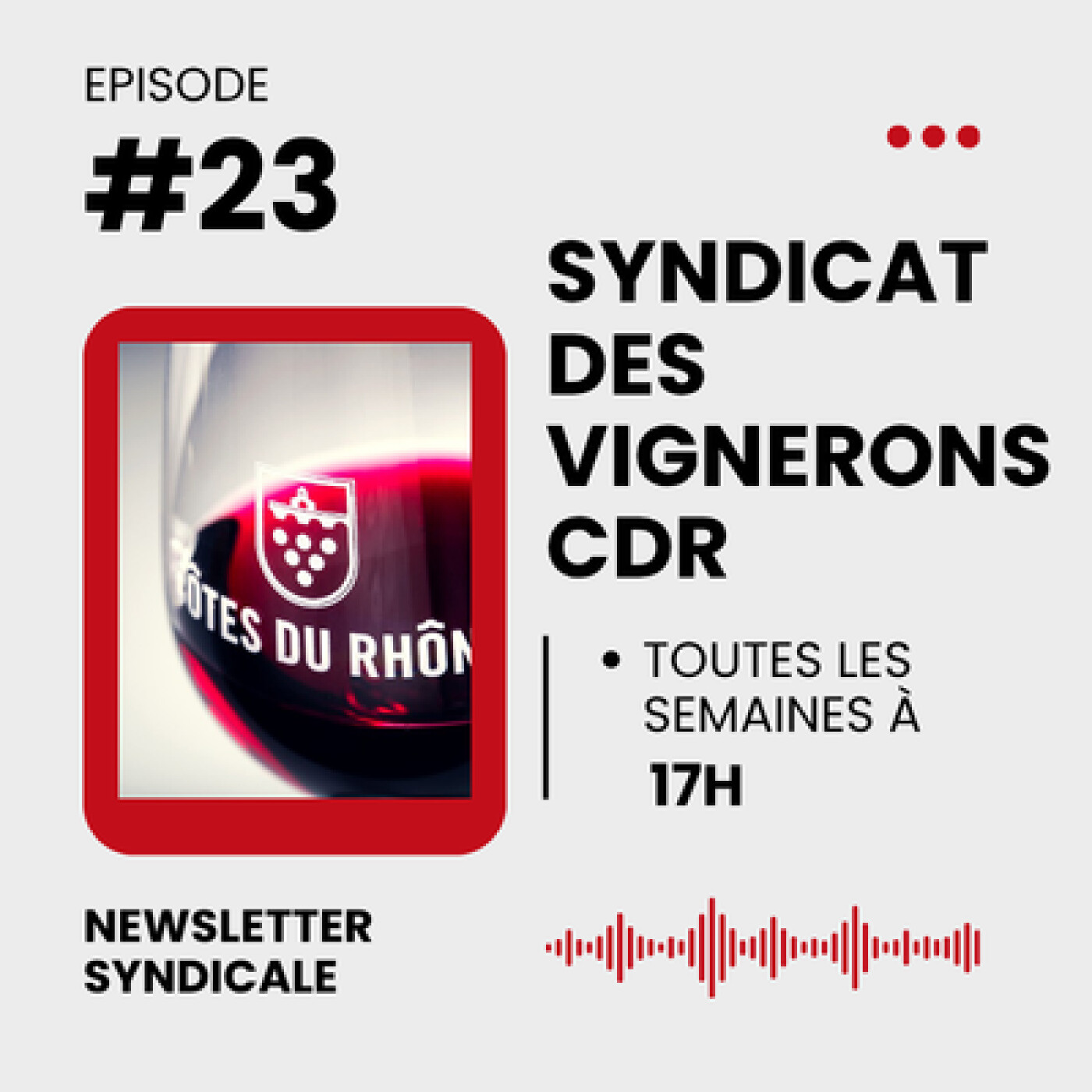 Newsletter Syndicale n°23 - 2026 episode artwork