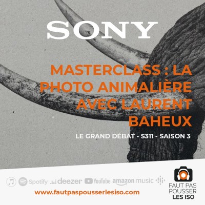 GRAND DÉBAT - S311 - Masterclass : la photo animalière avec Laurent Baheux cover