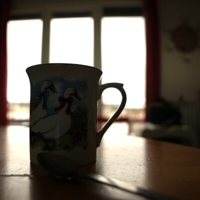 Nadia Karaboulkov - 17/07 17:24 cover