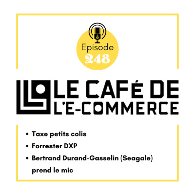 248 - Taxe petits colis, Forrester DXP, Bertrand Durand-Gasselin (Seagale) prend le mic cover