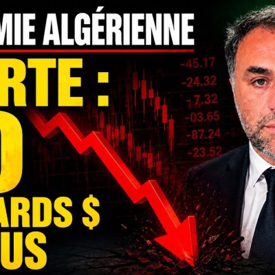 ALERTE - Comment l'Algérie a perdu 20 milliards de dollars en 10 mois cover