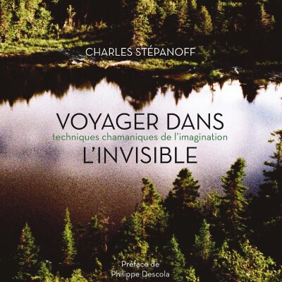 Voyager dans l'invisible cover