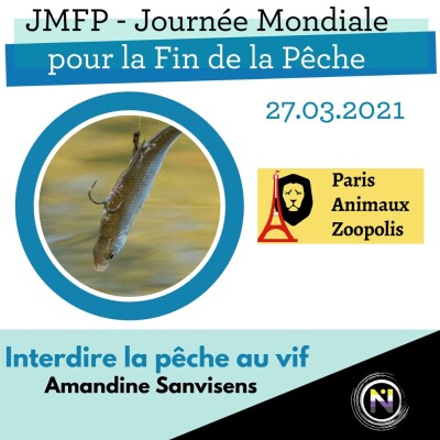 JMFP - 2021 Interdire la peche au vif cover