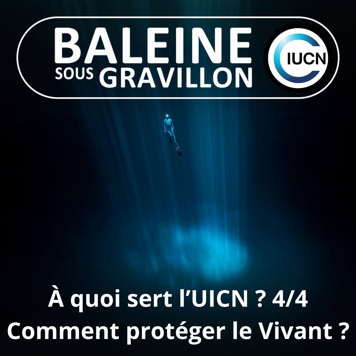 Baleine sous Gravillon