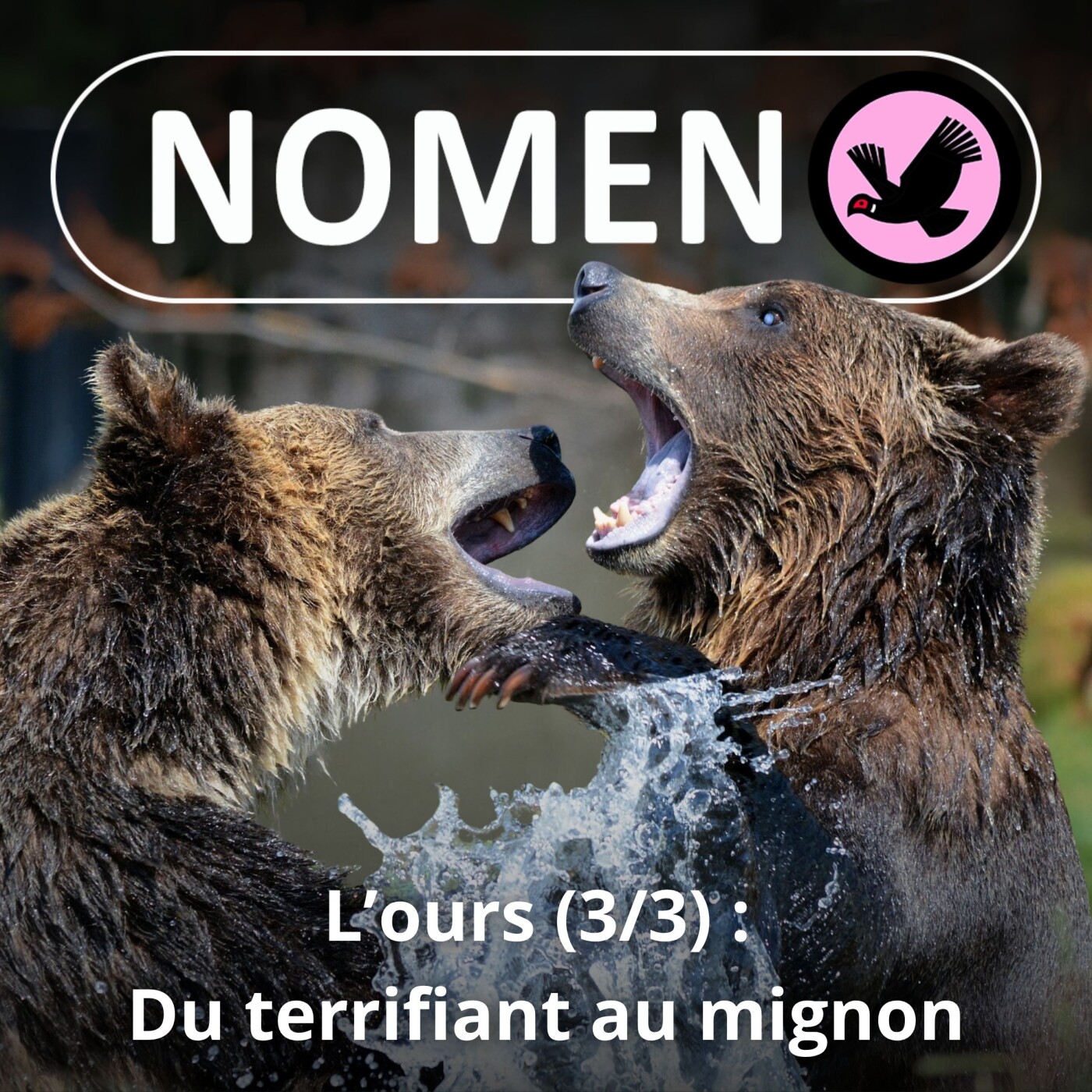 S02E01 L'Ours 3/3 : du Grizzly au Panda, du terrifiant au mignon