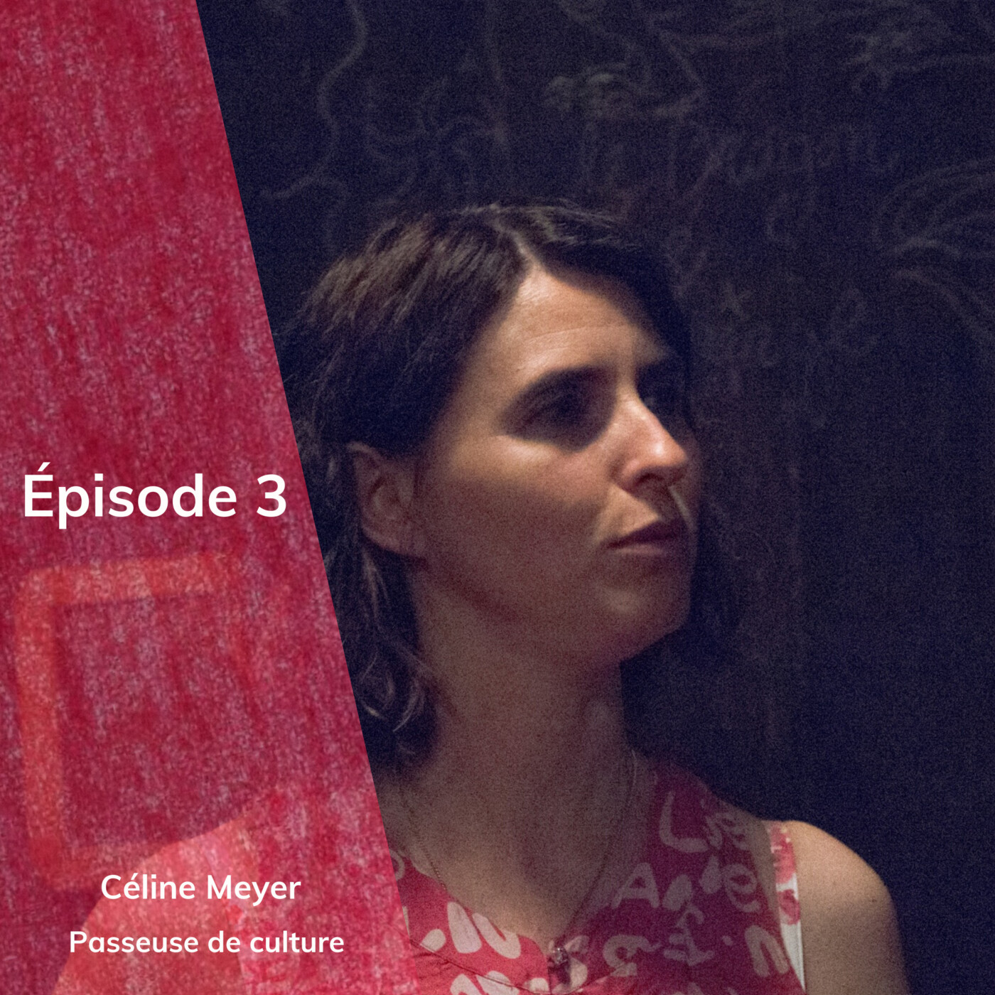 Episode 3 : Céline Meyer, passeuse de cultures