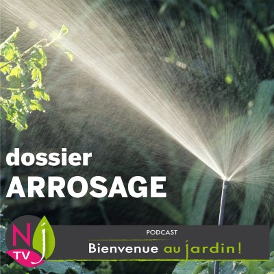 DOSSIER: ARROSAGE : LA PRATIQUE, LES TECHNIQUES, LES ÉCONOMIES cover