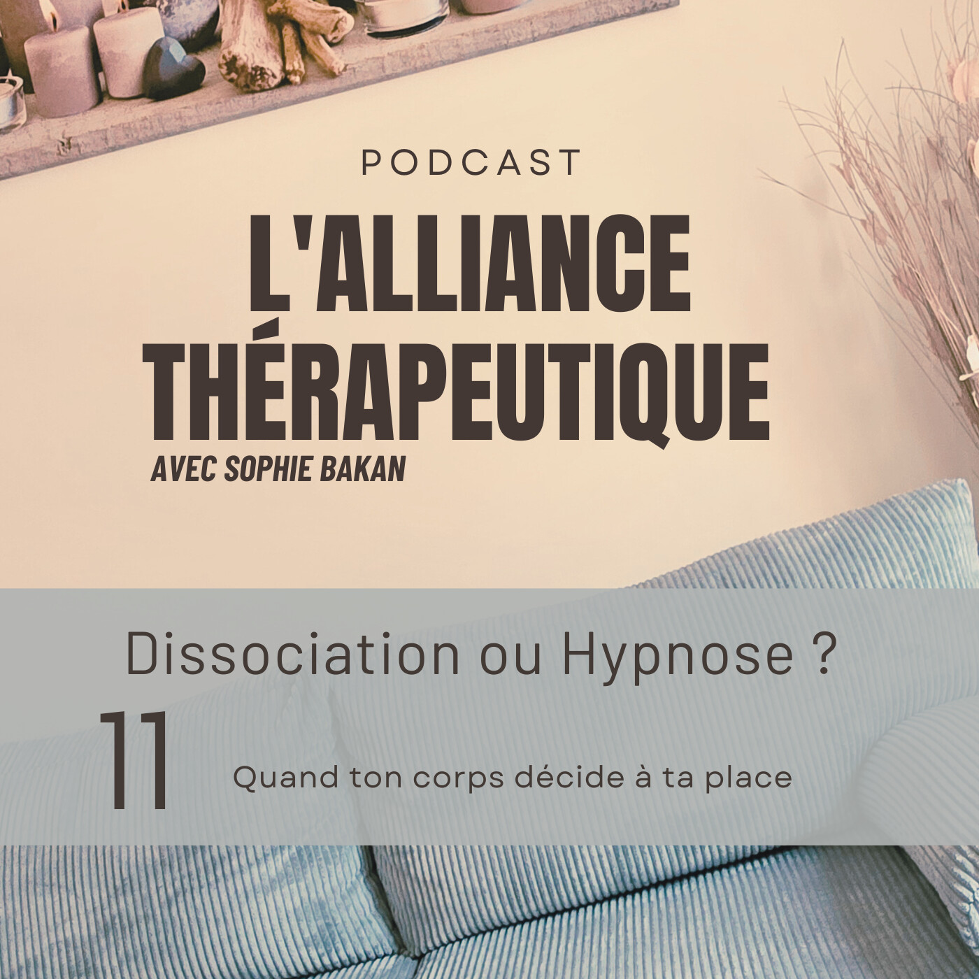 L\'Alliance Thérapeutique. Psychologie, émotions, relations, intimité, hypnose