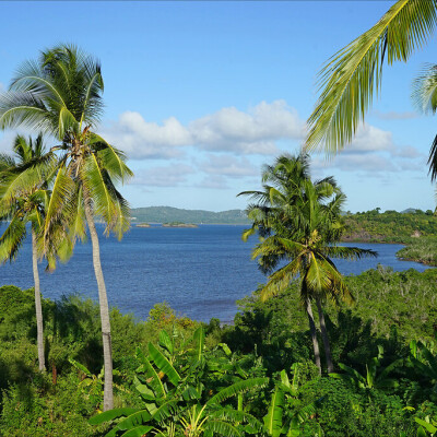 Les violences à mayotte cover