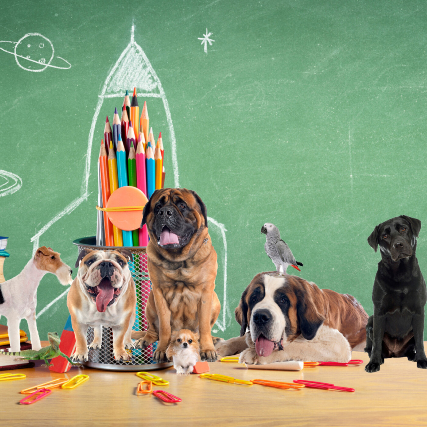 Dans le monde de Fabululu, histoires et contes pour enfant