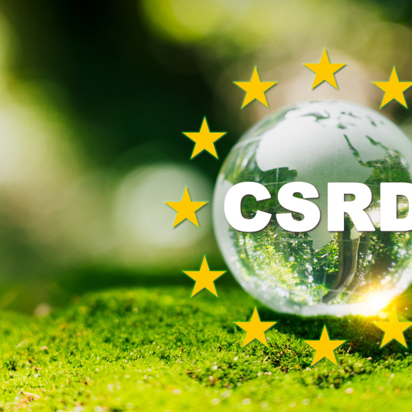 Podcast pour la maîtrise et l\'audit des risques