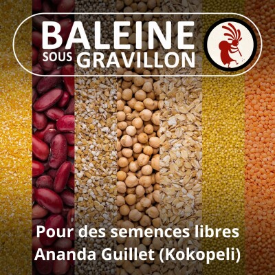 S02E02 Pour des semences libres et reproductibles (Ananda Guillet, Kokopelli) cover