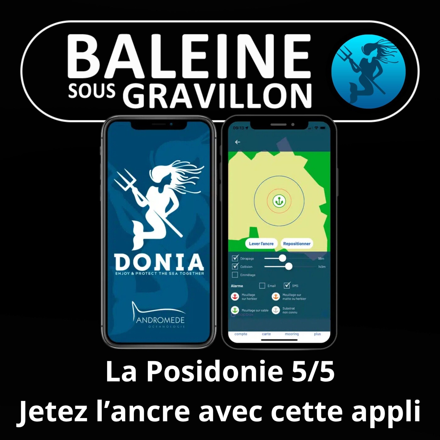 S04E85 La Posidonie 5/5 : Sauver les derniers herbiers (Laurent Ballesta, Pierre Descamp)