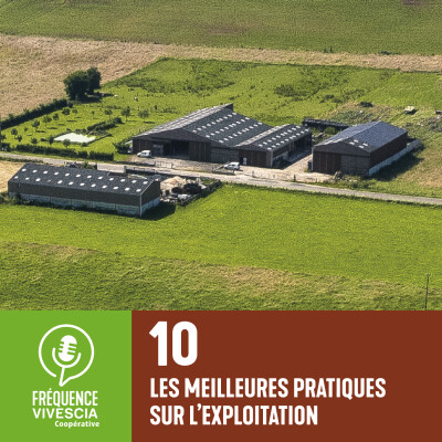 Episode 10 - Stocker vos récoltes pour assurer une qualité saine, loyale et marchande cover