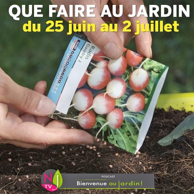 QUE FAIRE DANS LE JARDIN DU 25 JUIN AU 2 JUILLET ? cover