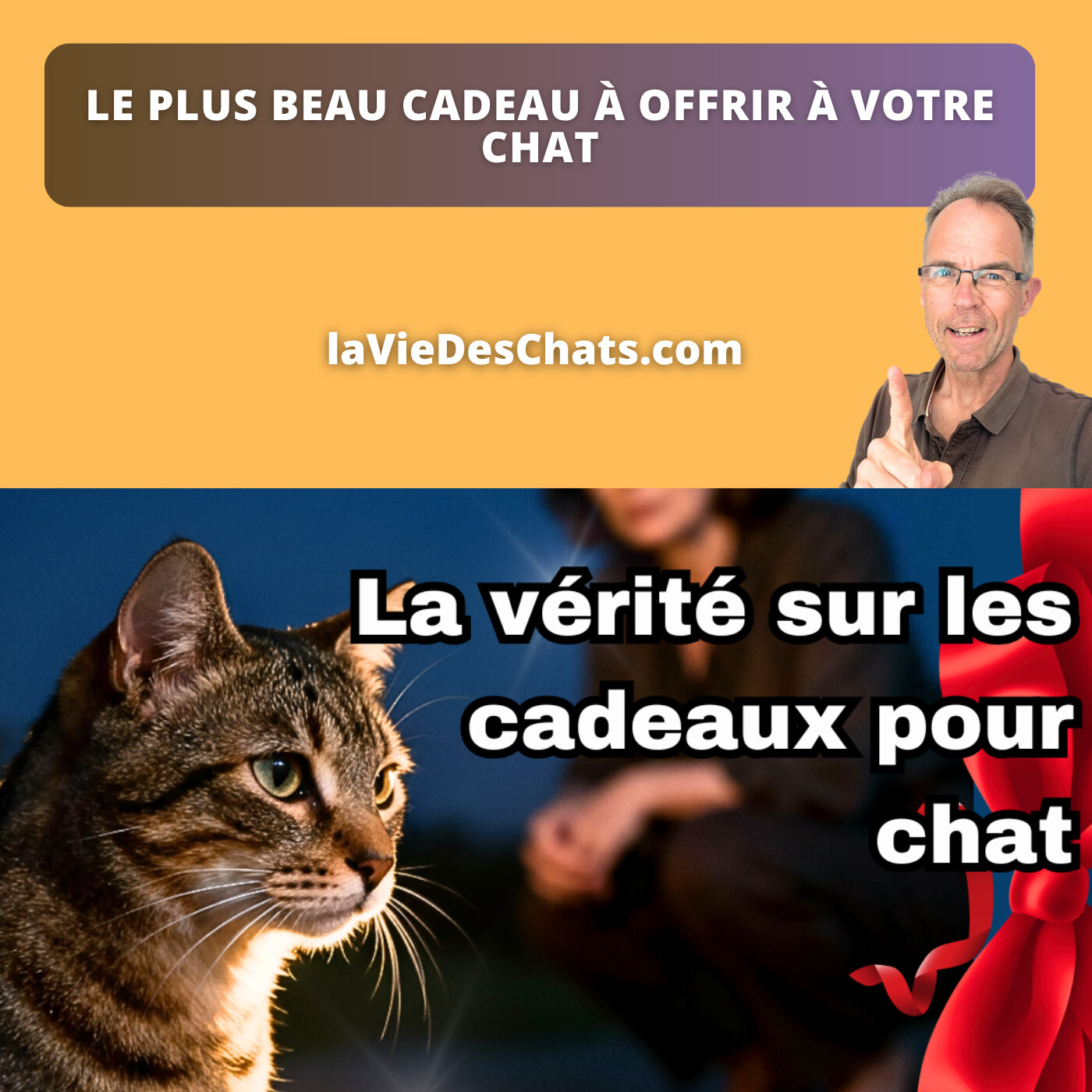 Le plus beau cadeau à offrir à votre chat
