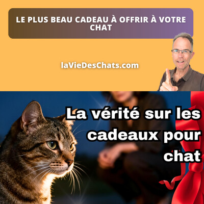 Le plus beau cadeau à offrir à votre chat cover
