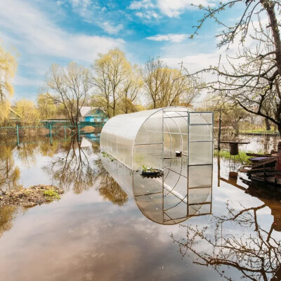 Inondations : comment sauver son jardin cover