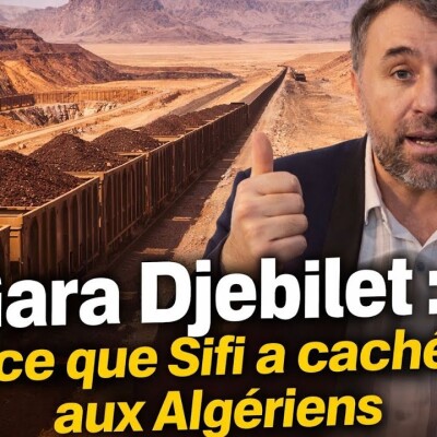 Enquête. Comment l’Algérie importe du fer pur pour  pouvoir utiliser le fer impur de Gara Djebilet  cover