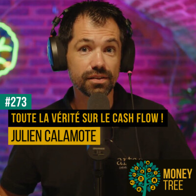 #273 - Toute la vérité sur le cash flow ! [CAPS REPLAY] cover