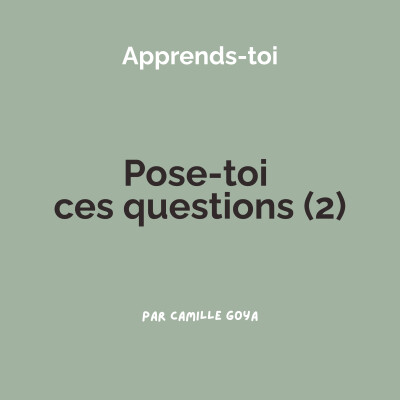 Pose-toi ces questions (2) cover
