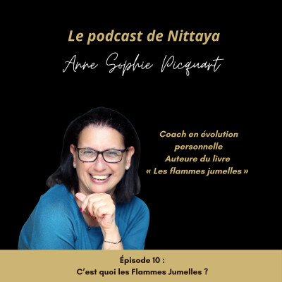 C'est quoi les Flammes Jumelles ? cover