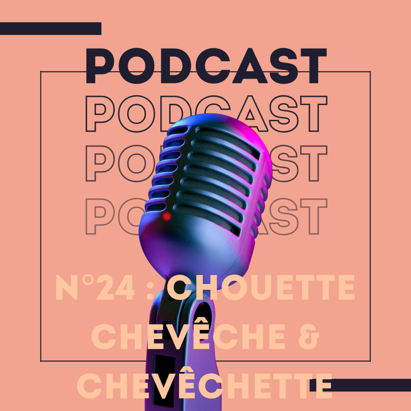 Les Chouettes Miniatures – Chevêche et Chevêchette !