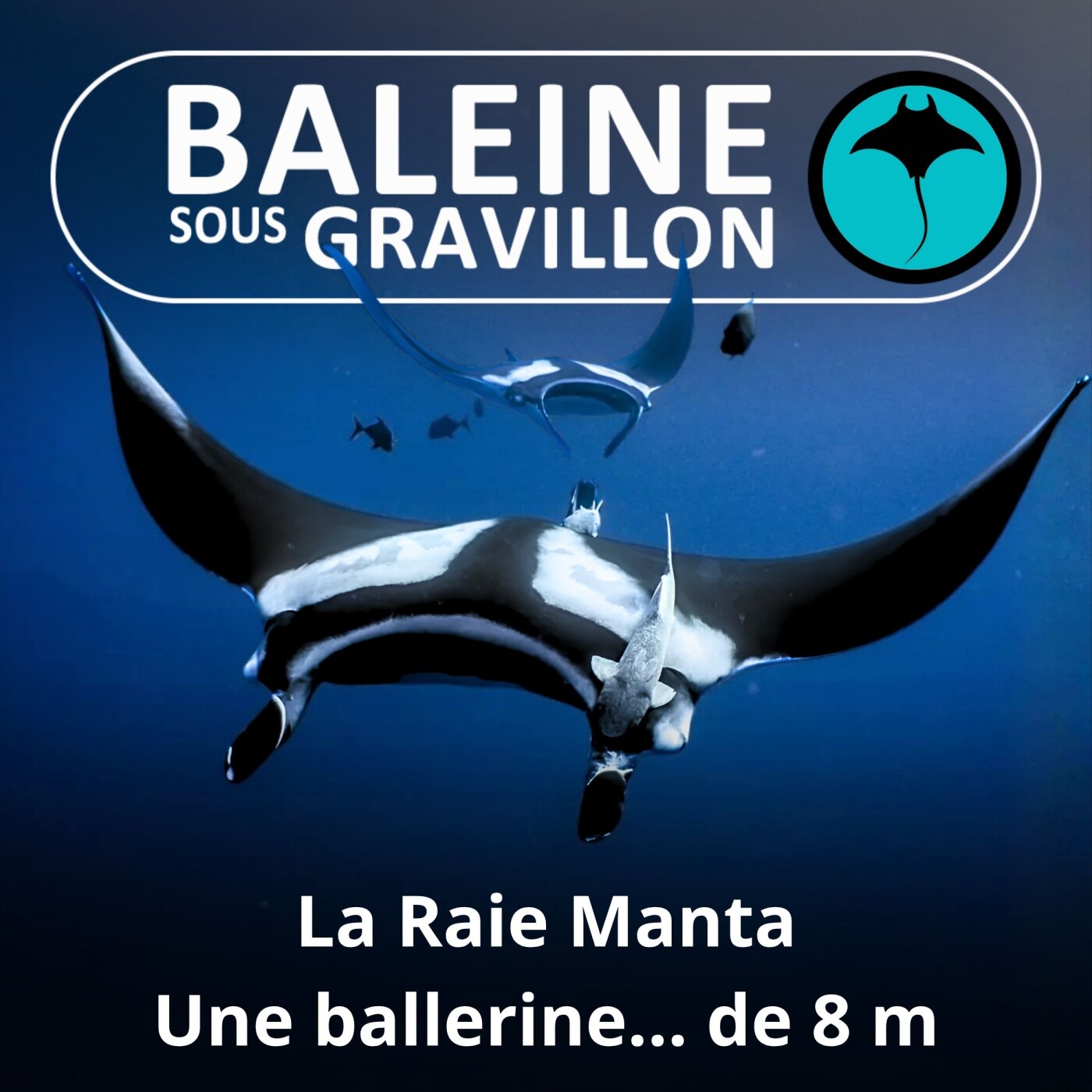 S01E12 La Raie Manta : Une ballerine de l'envergure d'un petit avion episode artwork