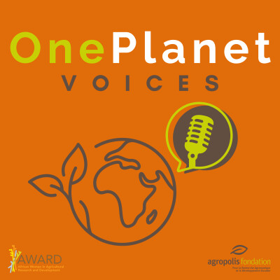 [Bonus] ADVOCACY FOR INVESTING IN AFRICAN RESEARCH cover