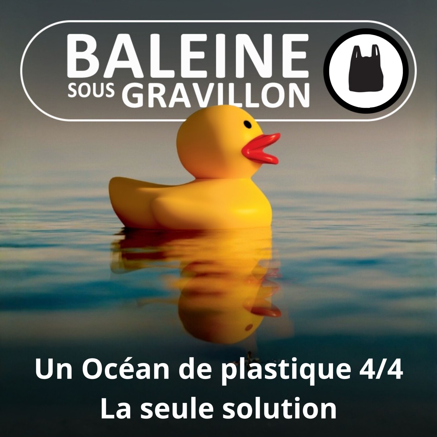 S02E69 Océan Plastique 4/4 : Que faire (de vraiment efficace) ? (Nelly Pons) episode artwork