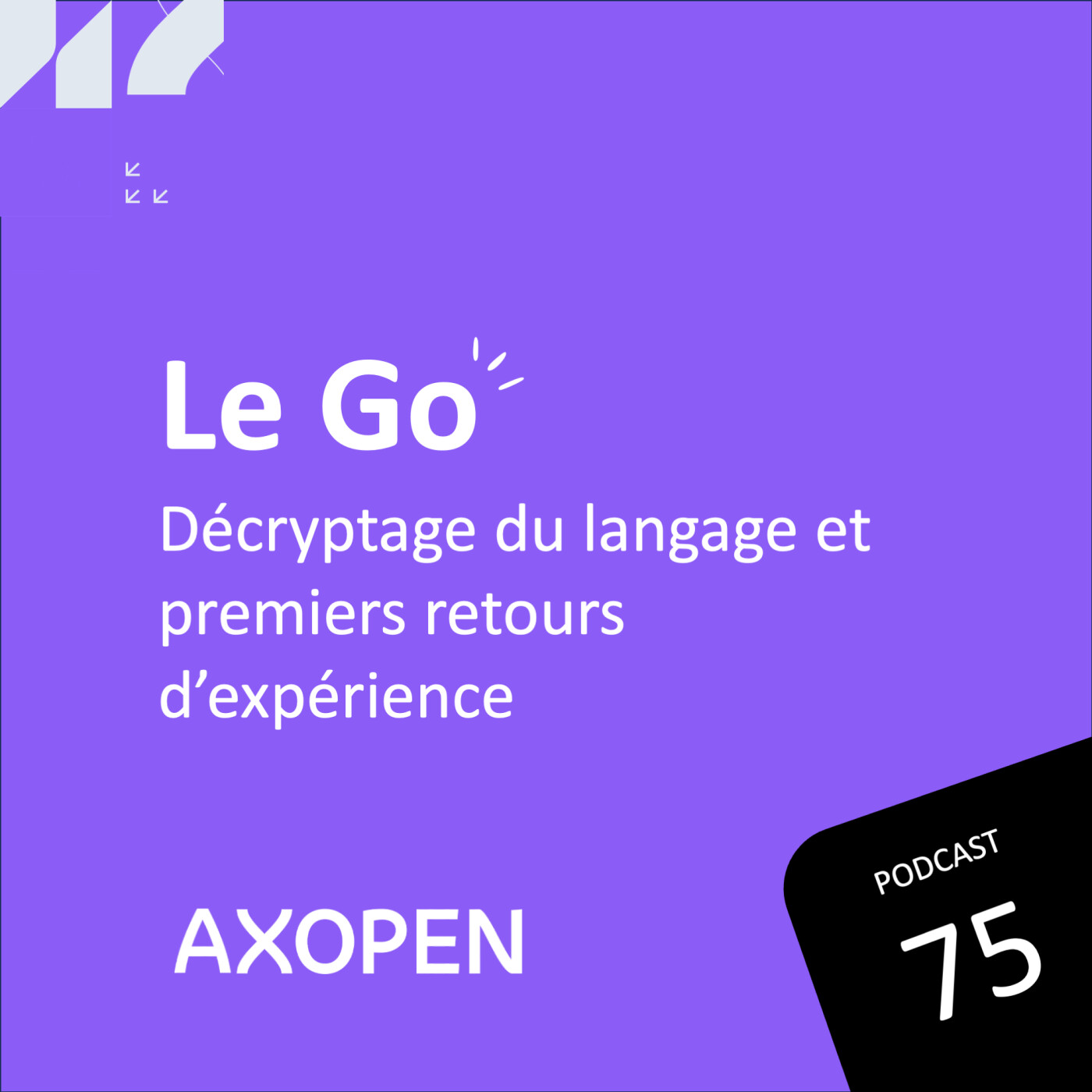Le Go : décryptage du langage et premiers retours d'expérience