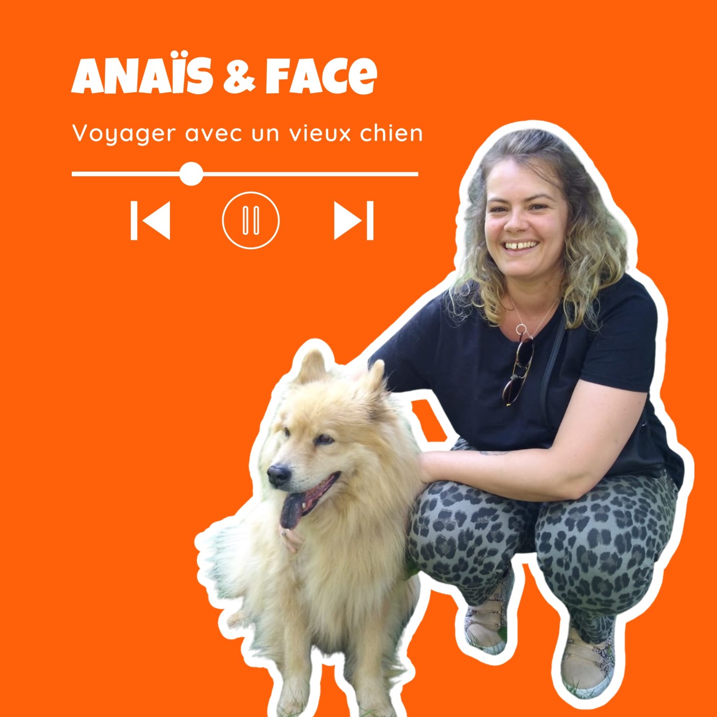 TWiP - Voyager avec son chien