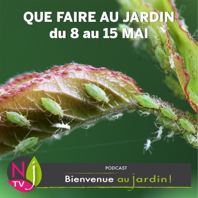 QUE FAIRE AU JARDIN DU 8 AU 15 MAI ? cover