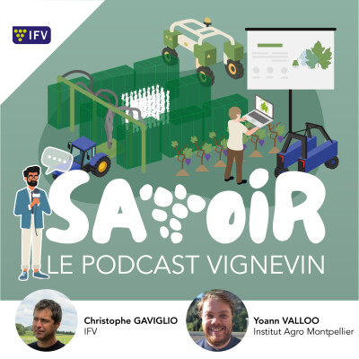 #S2 E8 Autoguidage des tracteurs vignerons, comment ça marche et que faut-il savoir avant de se lancer ? cover