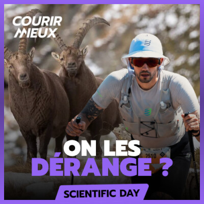 Le TRAIL, un DANGER pour la FAUNE ? Partie 2 cover