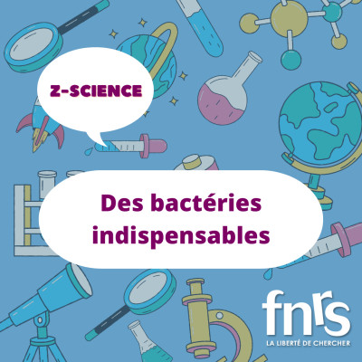 Des bactéries indispensables cover