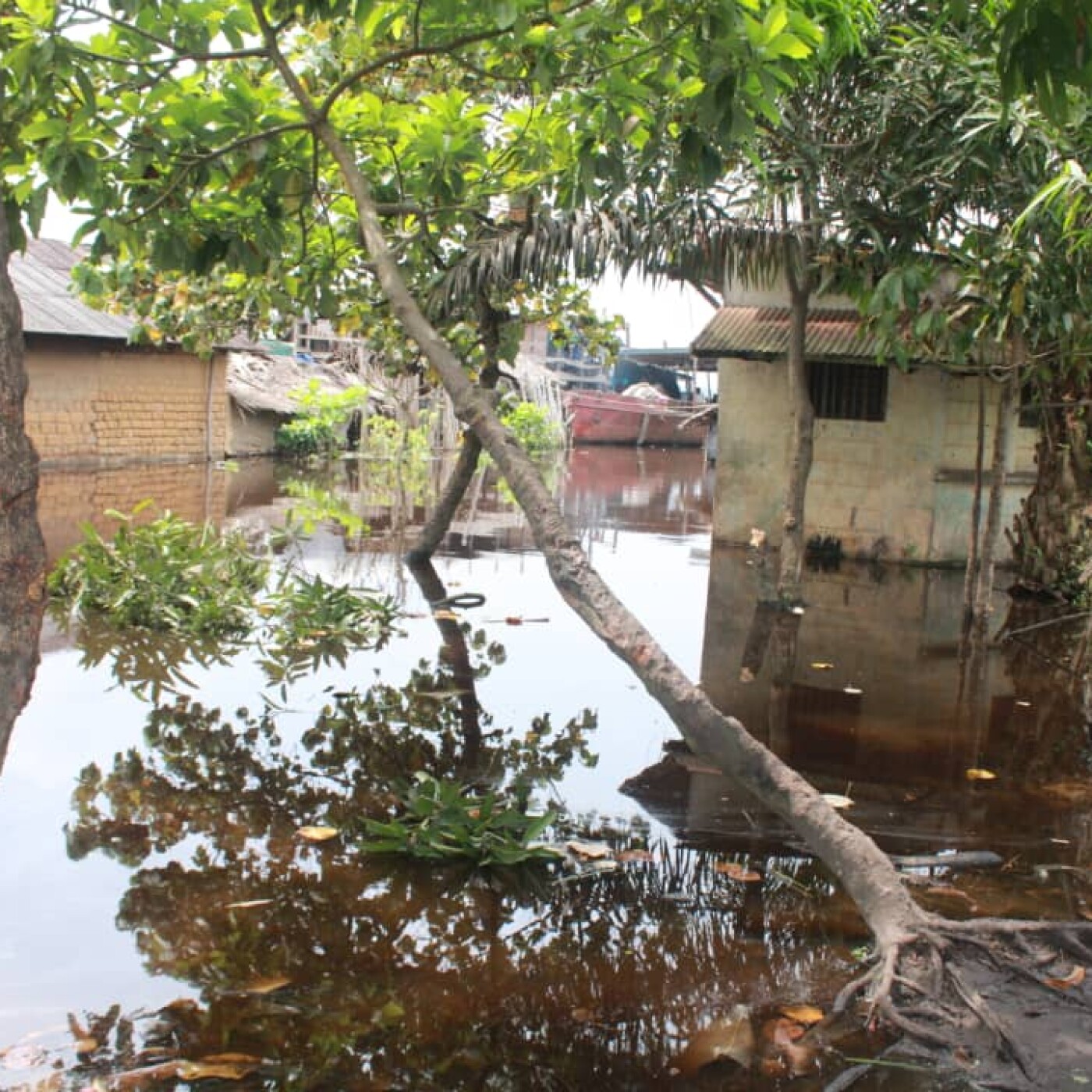 Urgence face aux Inondations du Fleuve Congo : Sensibilisation, Éducation Mésologique et Sécurisation, Recommandations du CRREBC