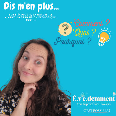 #27 - Qu'est ce que la méthode des 3 V ? cover