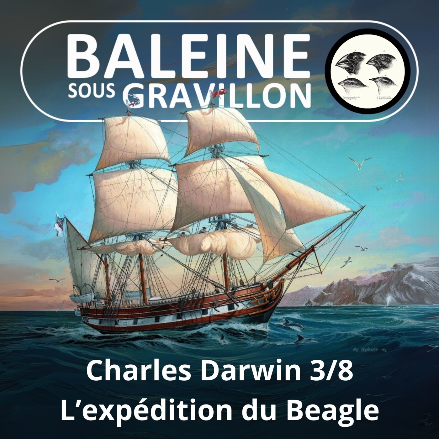 S03E90 Charles Darwin 3/8 : L'expédition du Beagle (1831 - 1836) episode artwork
