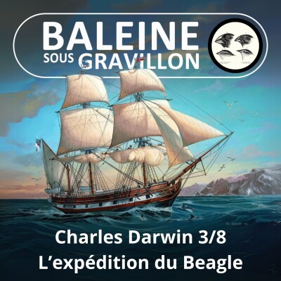 S03E90 Charles Darwin 3/8 : L'expédition du Beagle (1831 - 1836) cover