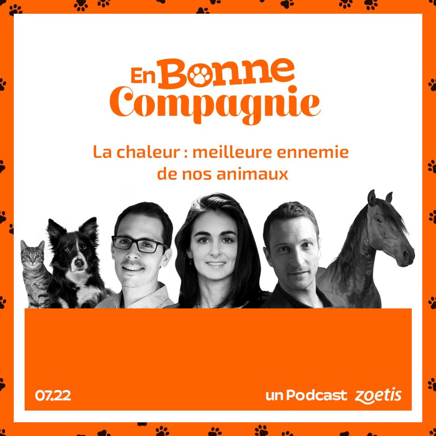 Hors-série : la chaleur, meilleure ennemie de nos animaux