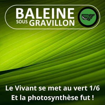 S07E73 Et le Vivant se mit au vert 1/6 : La photosynthèse fut ! cover