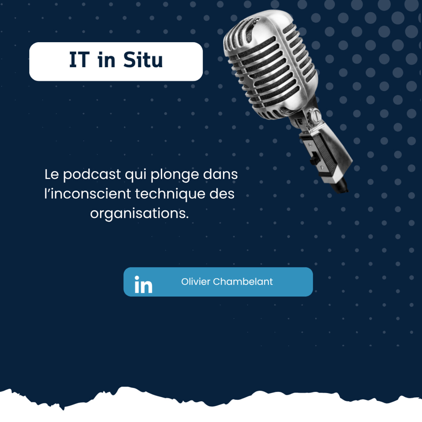 IT in Situ – Plongée dans l\'inconscient technique des organisations