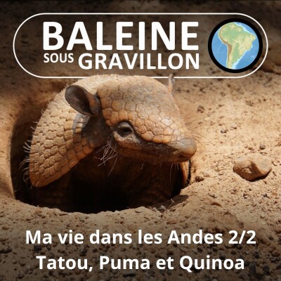 S02E130 Ma vie de guide de montagne dans les Andes 2/2 : Tatou, Puma, Quinoa... (Marc Mortelmans) cover
