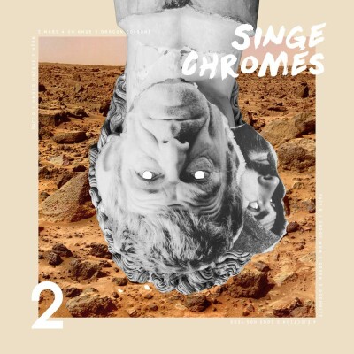 LIVE | Singe Chromés à l'Alchimia Dijon 2014 cover